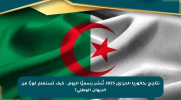نتائج بكالوريا الجزائر 2025 تُنشر رسميًا اليوم.. كيف تستعلم فورًا من الديوان الوطني؟